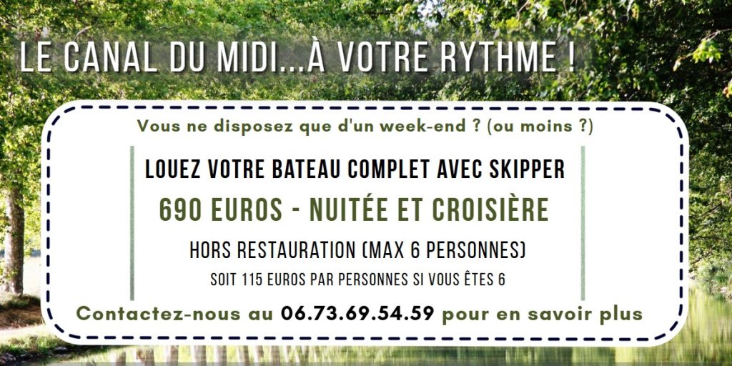 Banner vert blanc et noir, offre navylis croisière pour une nuitée, max 6 personnes. Fond image paysage Canal du Midi